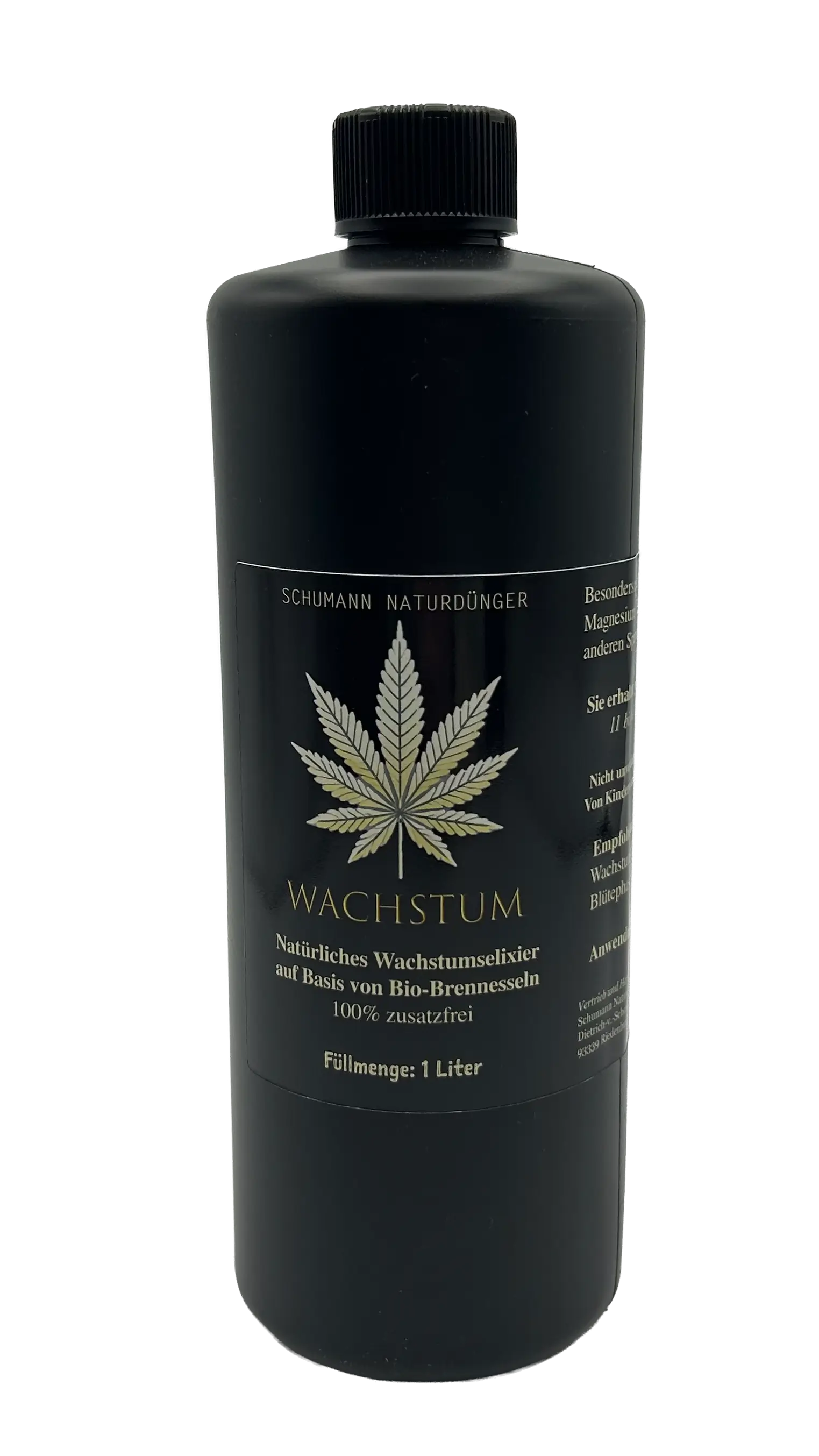 Wachstum - Bio Brennnesseln